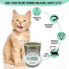 From The Field toy refill with catnip for enhanced play and engagement.