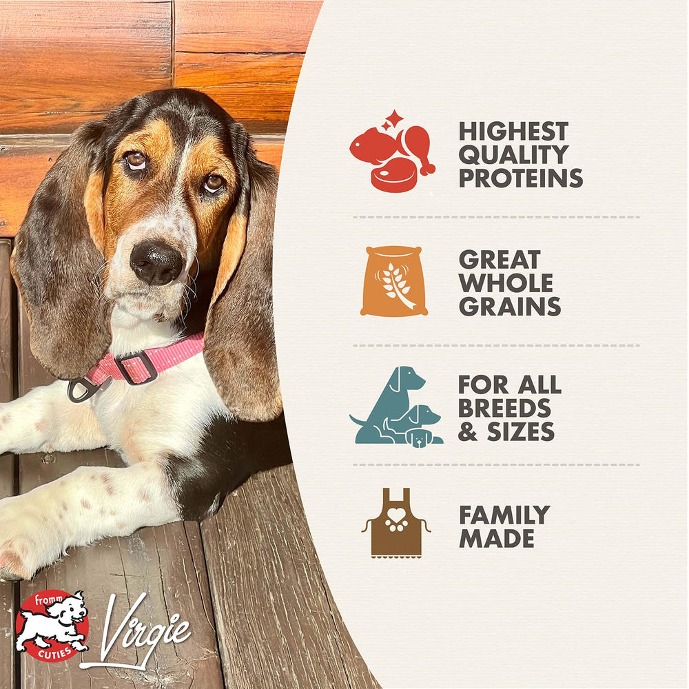 Fromm Adult Gold Chicken Recipe kibble close-up, high-quality protein for steady energy.