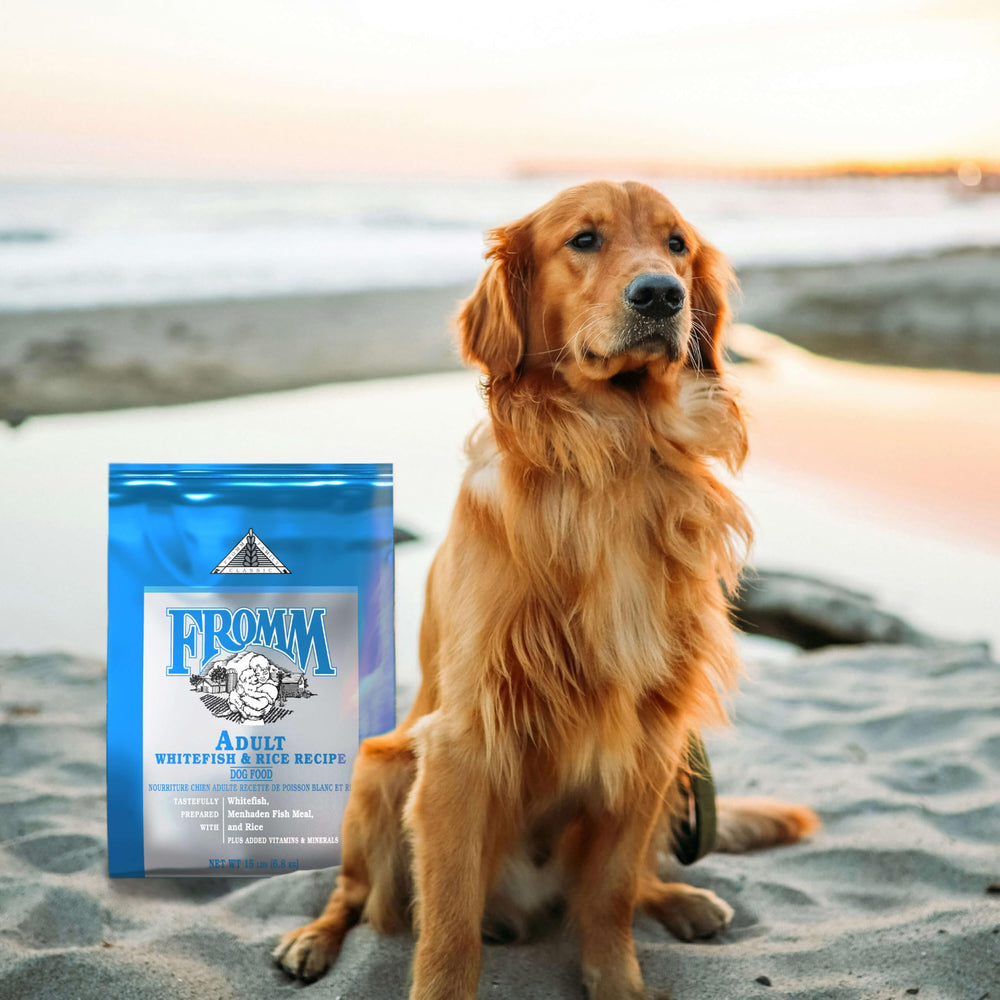 Fromm Classic Whitefish & Rice bag on counter, premium dry dog food