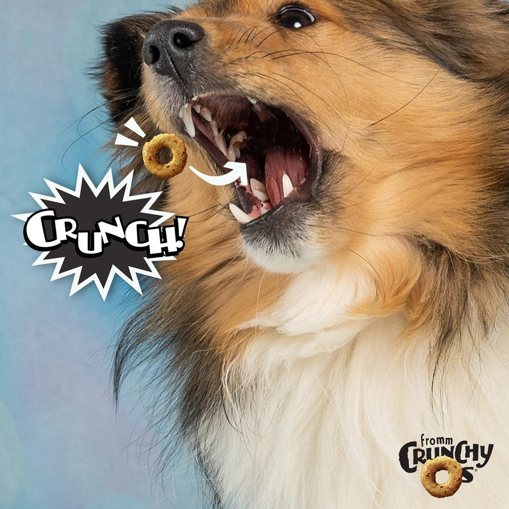 Fromm Crunchy Os Bacon Blasters treat closeup highlights crunchy texture ideal for training rewards