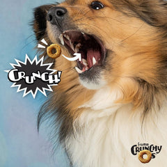 Fromm Crunchy Os Bacon Blasters treat closeup highlights crunchy texture ideal for training rewards