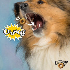 Fromm Crunchy Os Blueberry Blasts ingredients, chicken and blueberries for wholesome snacking.