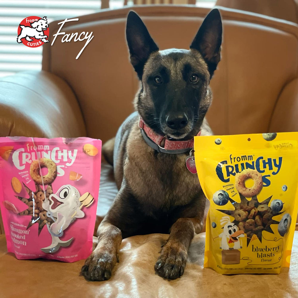 Fromm Crunchy Os Blueberry Blasts nutritional snack bag, convenient and tasty.