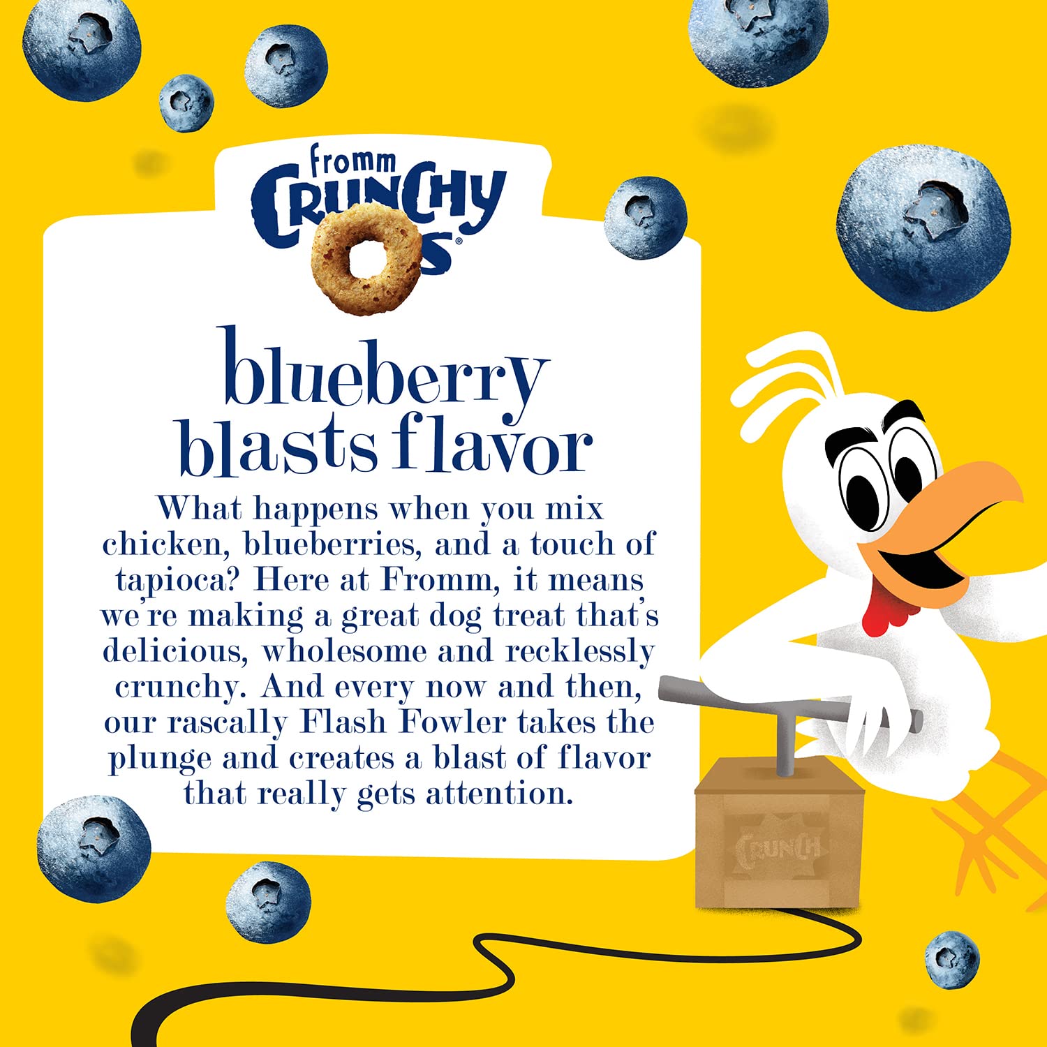 Fromm Crunchy Os Blueberry Blasts training time, use during practice sessions.