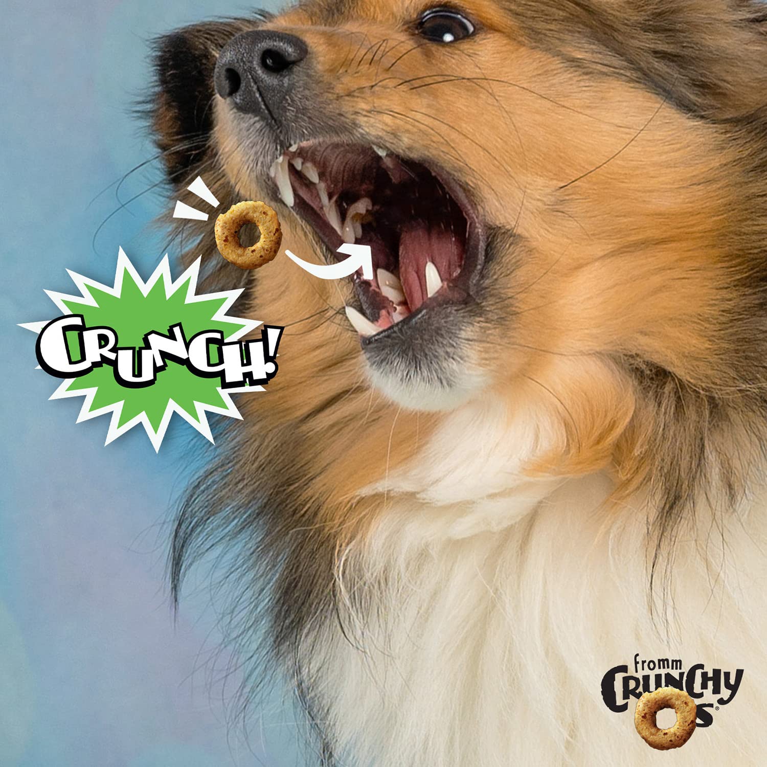 Fromm Crunchy Os cranberries turkey treats showcase flavorful snacking.