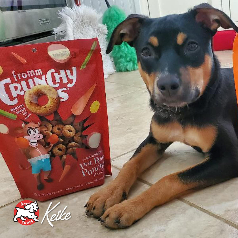 Serving suggestion with treats in a dog bowl.