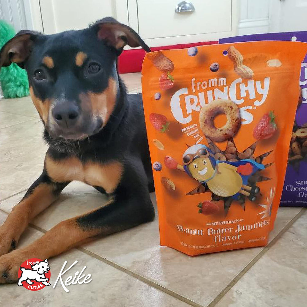 Fromm Crunchy Os PB&J inspired flavors entice dogs