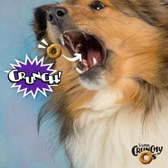 Fromm Crunchy Os Smokin' CheesePlosions close-up highlights crunchy texture dogs love.