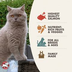 Fromm dry cat food in bowl ready for feeding