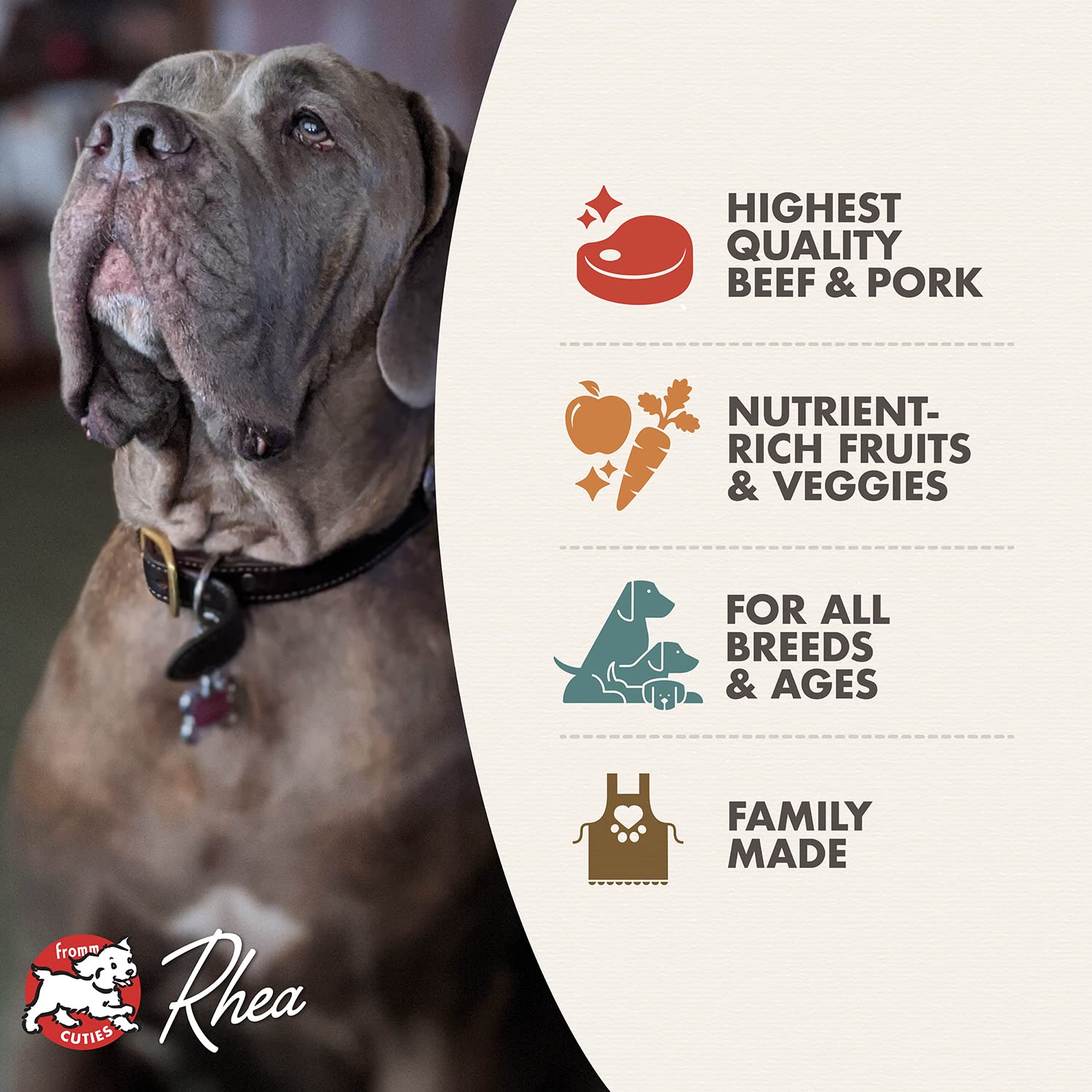 Fromm Four-Star Beef Frittata Veg Dog Food in a bowl emphasizes digestible ingredients and palatability.