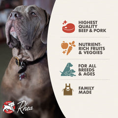 Fromm Four-Star Beef Frittata Veg Dog Food in a bowl emphasizes digestible ingredients and palatability.
