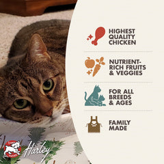 Fromm Four-Star Chicken Au Frommage cat eating bowl shows palatable kibble in meals.