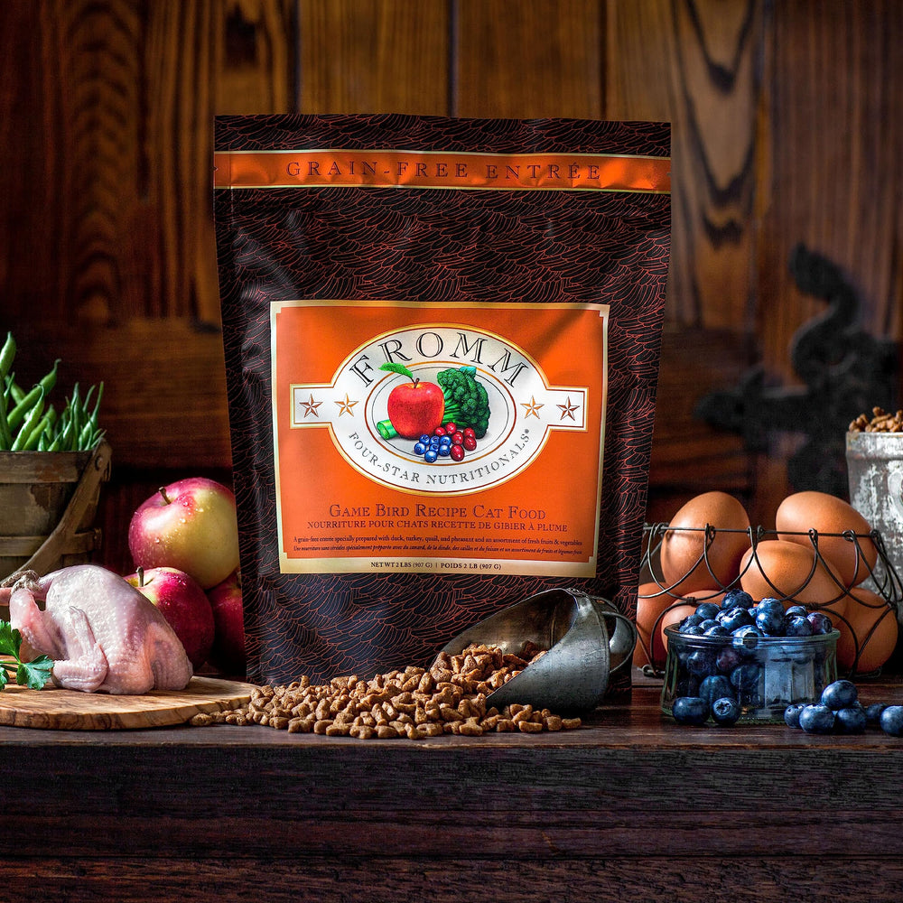 Serving the Fromm Game Bird kibble in a bowl for regular meals.