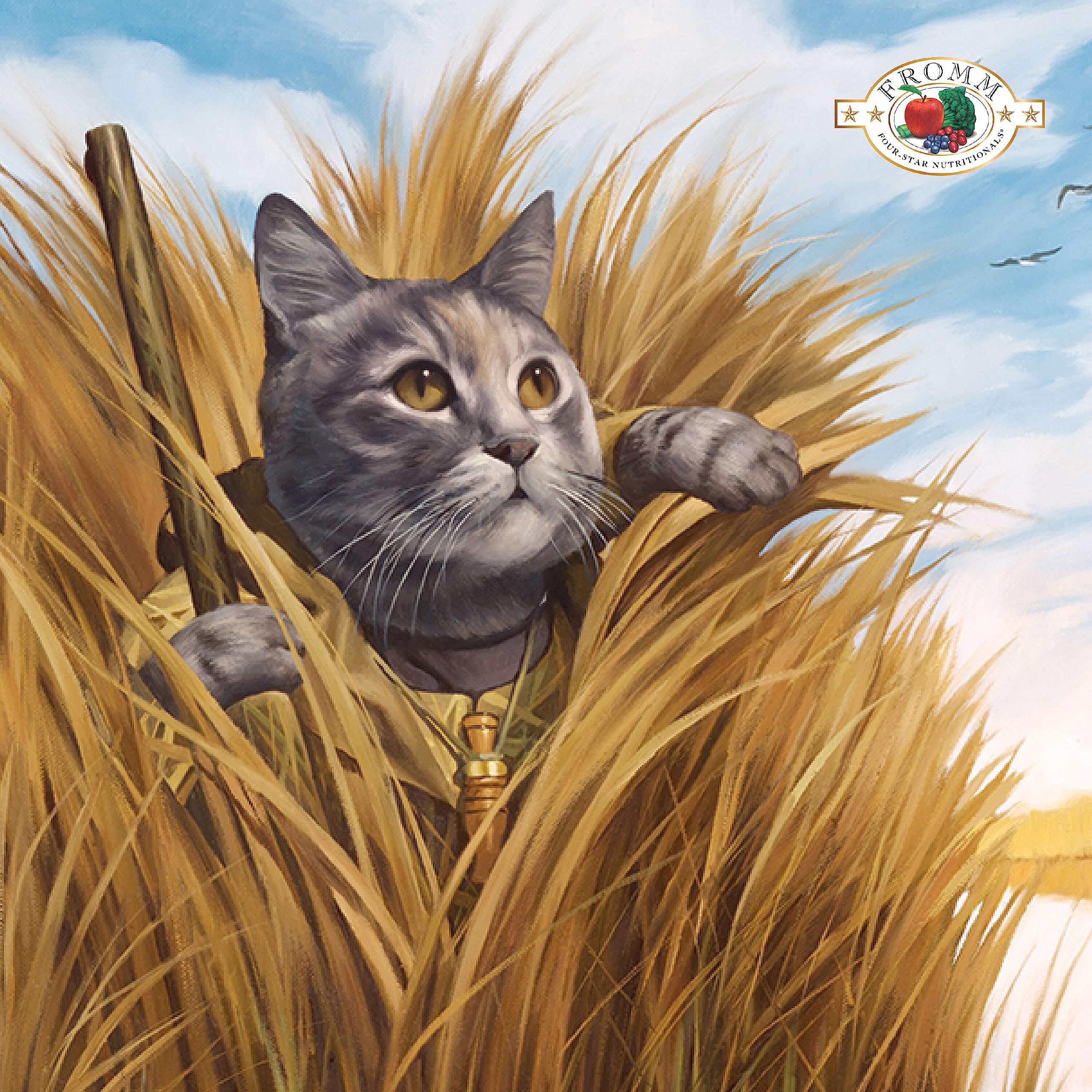 Fromm Game Bird kibble close-up highlighting turkey and duck flavors for a palatable meal.