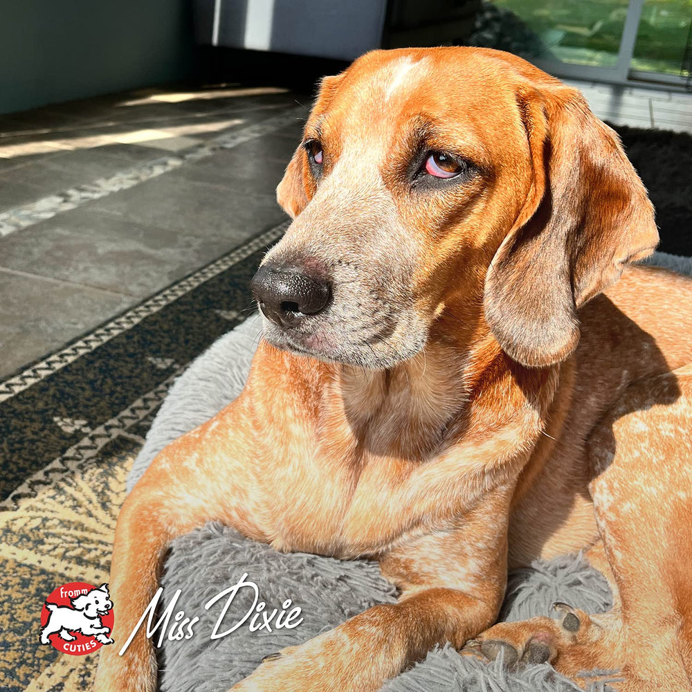 Fromm Hasen Duckenpfeffer dog meal ready-to-serve option for busy households.