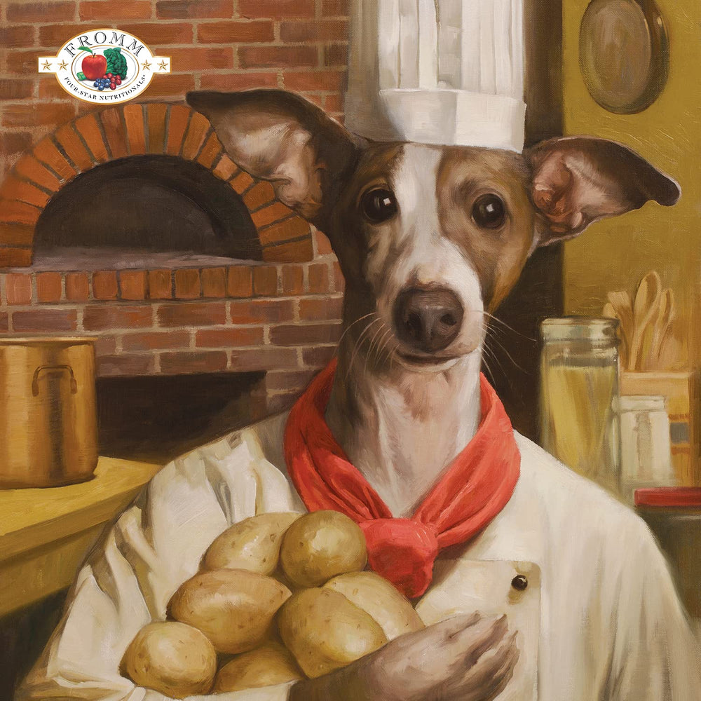 Fromm Four-Star Pork & Applesauce kibble bowl shows a tasty pork recipe for dogs of all ages.