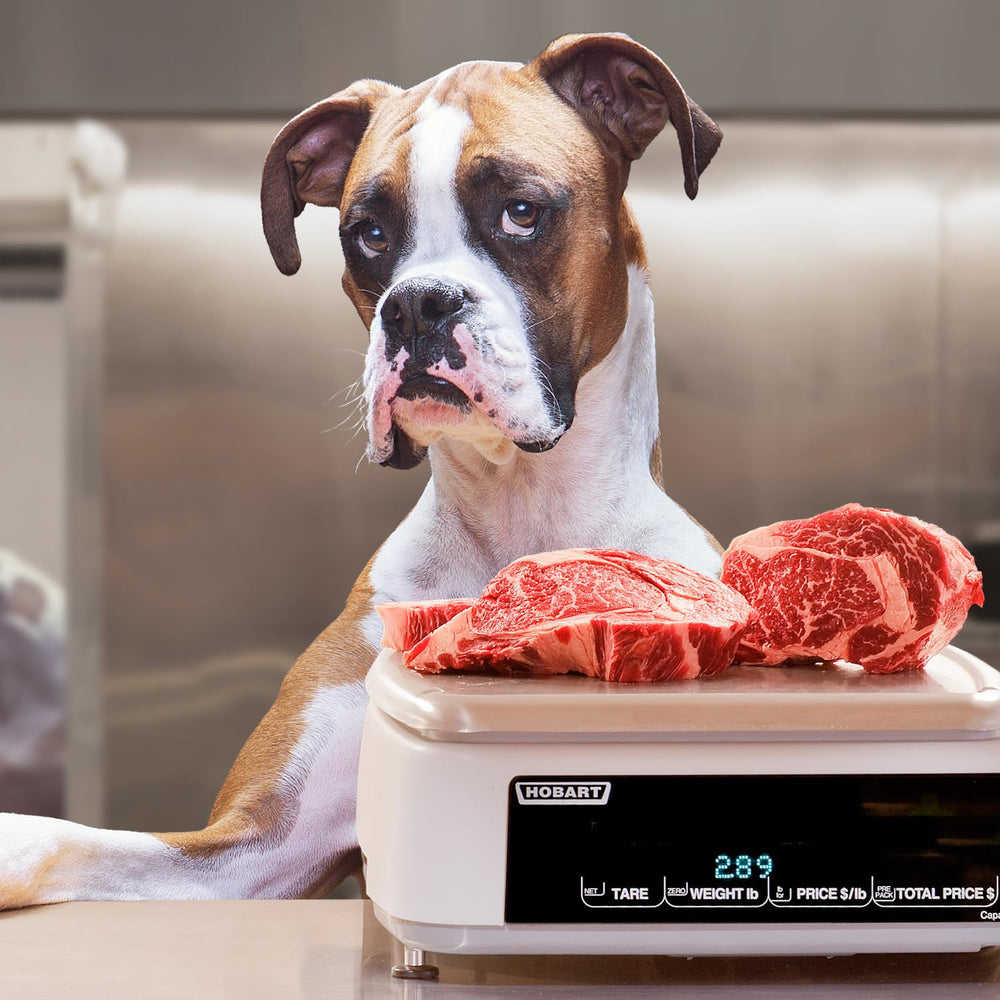 Fromm Heartland Gold ingredients list—beef, pork, and lamb protein for variety