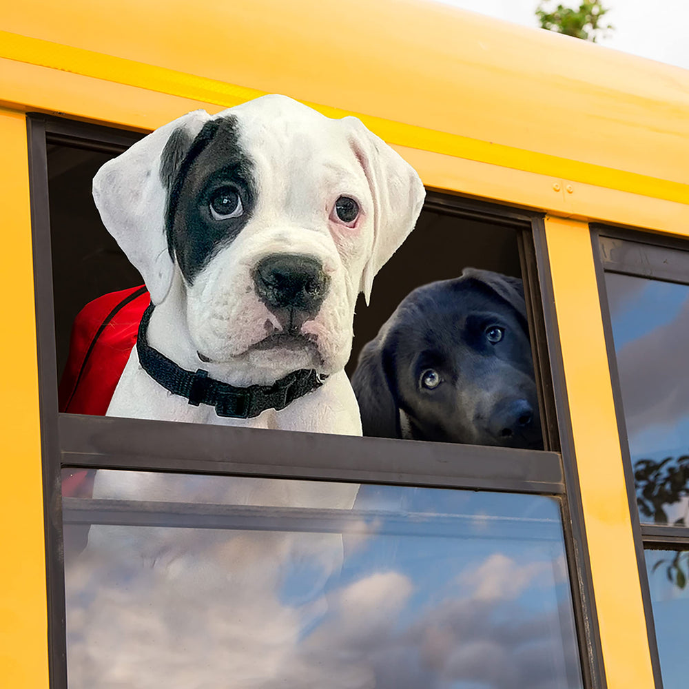 Fromm Puppy Gold probiotic blend designed to support digestive comfort.