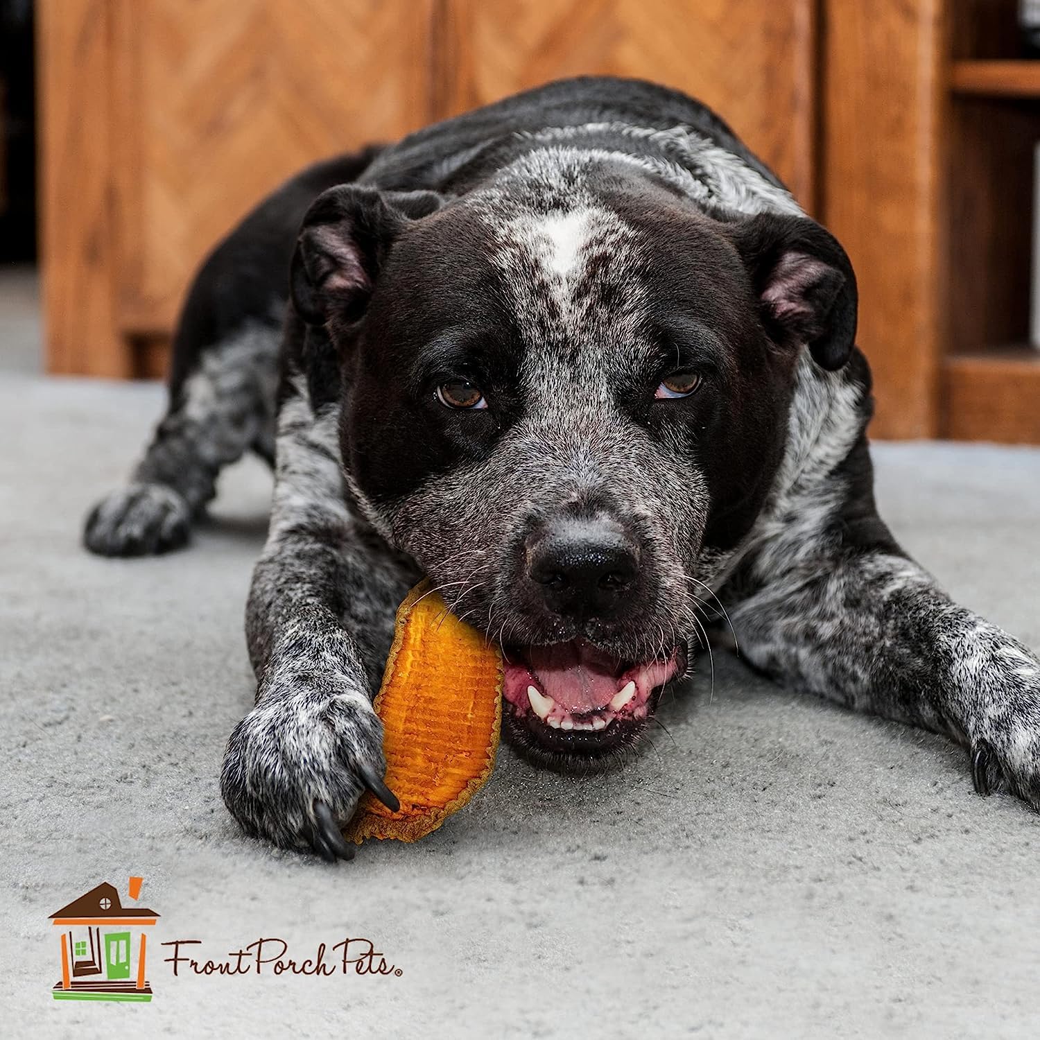 Groove-design chew promotes chewing engagement and surface cleaning for dogs