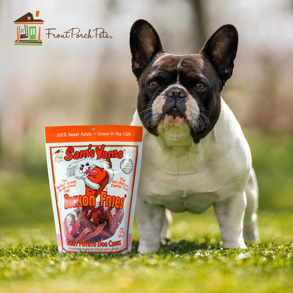 Dog enjoying Sams Yams chew with a satisfied mouthful and aroma.