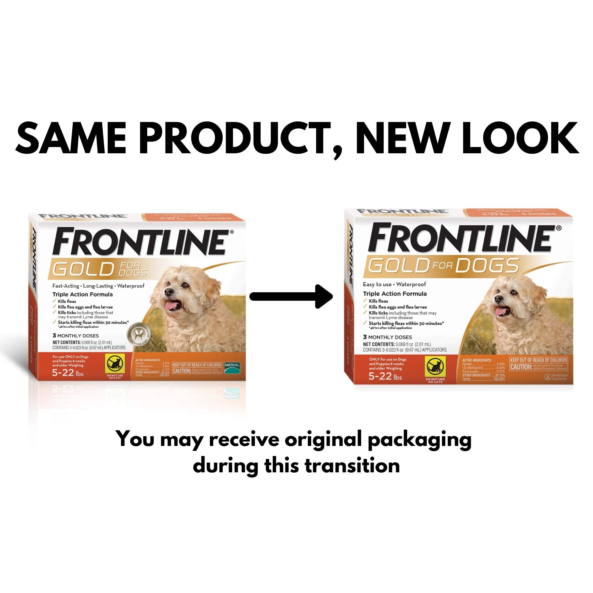 Frontline Gold application pipette image showing easy topical application on a small dog.
