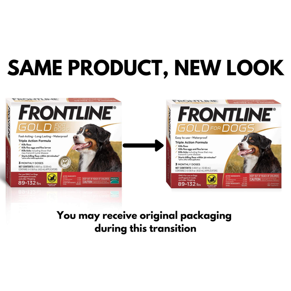 Frontline Gold applicator ready for precise dosing on a large dog