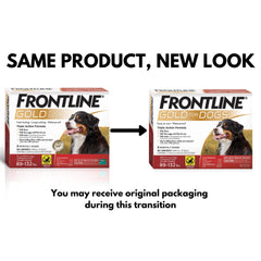 Frontline Gold applicator ready for precise dosing on a large dog