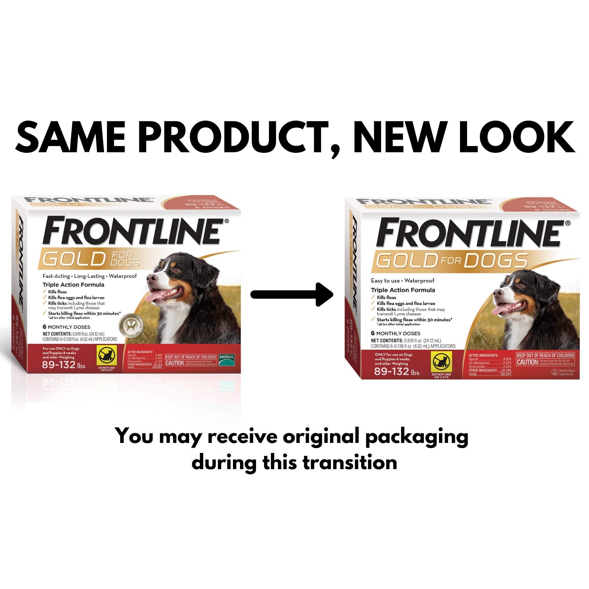 Frontline Gold protects dogs from fleas and ticks in action.