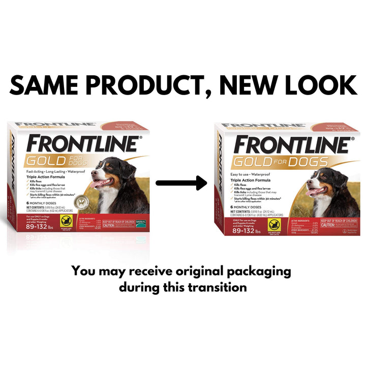 Frontline Gold protects dogs from fleas and ticks in action.