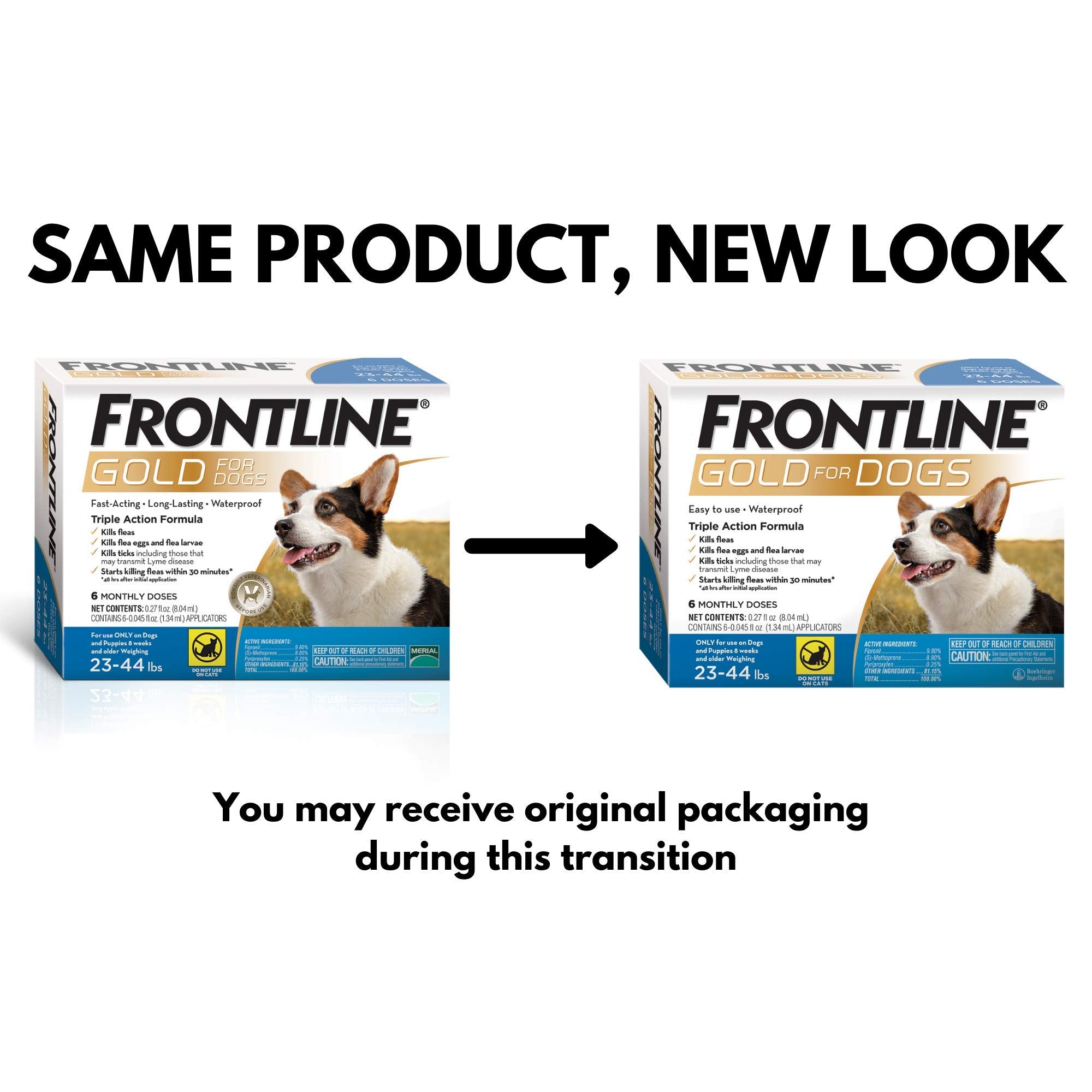 Frontline Gold spot-on application demonstrates easy protection for medium dogs.