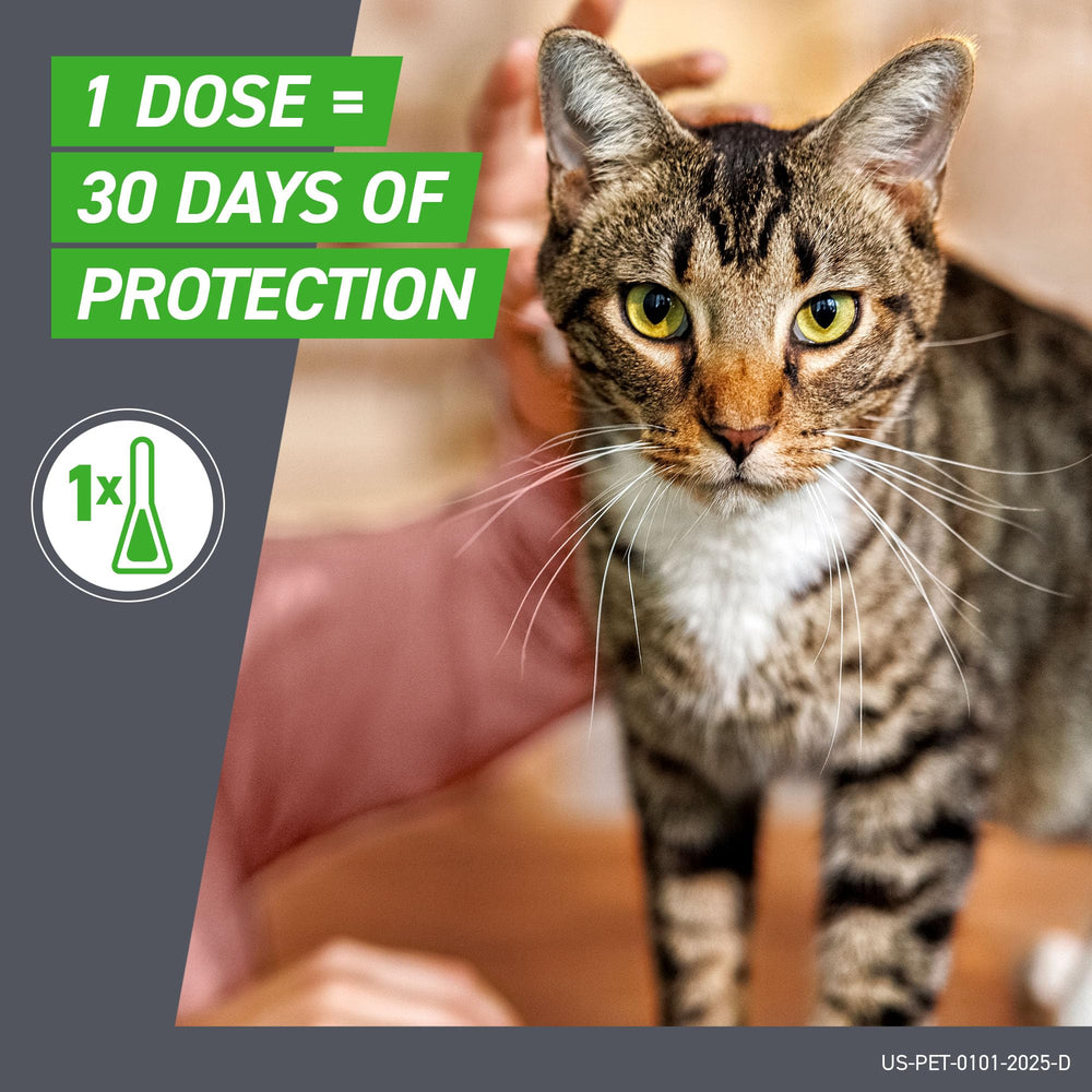 Frontline Plus Cats waterproof formula remains effective after baths.