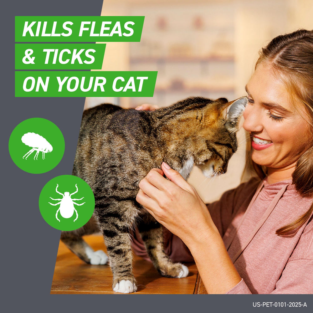 Frontline Plus for Cats provides waterproof protection during daily activities