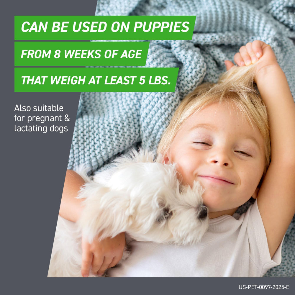 Frontline Plus puppy eight-weeks-use shows safe protection for young dogs.