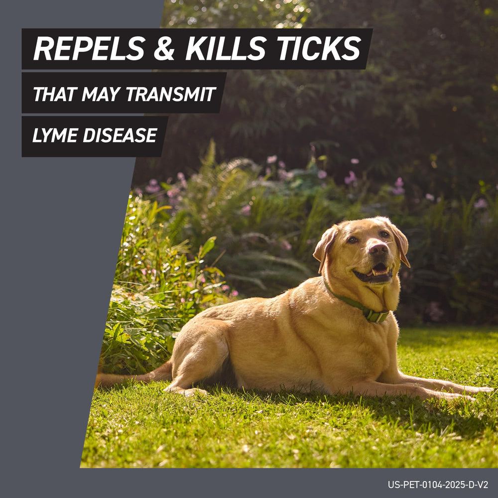 Frontline Shield dog 30-day protection coverage