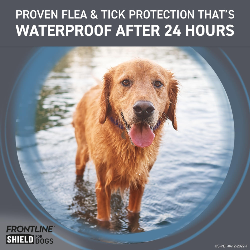 Frontline Shield monthly-application supports year-round flea and tick protection.