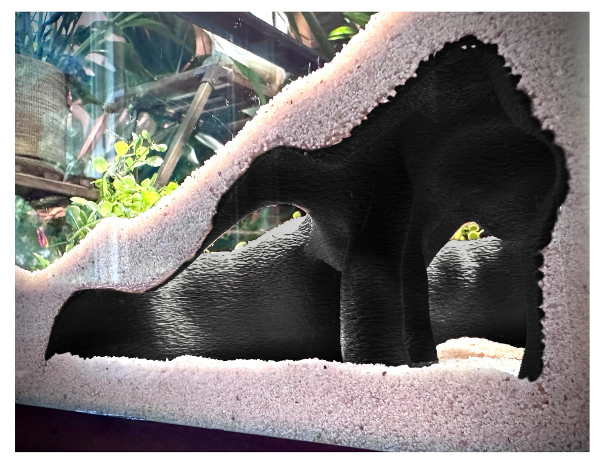 FROSTO aquarium corner hideout with charcoal mangrove-root texture for natural shelter.
