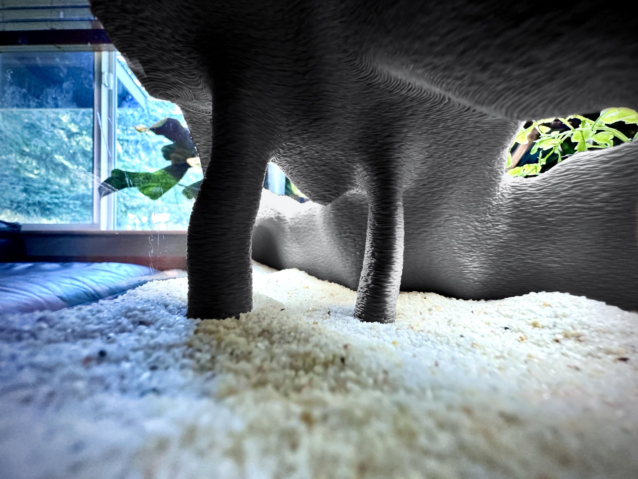 FROSTO terrarium decor offers safe concealment for small pets.