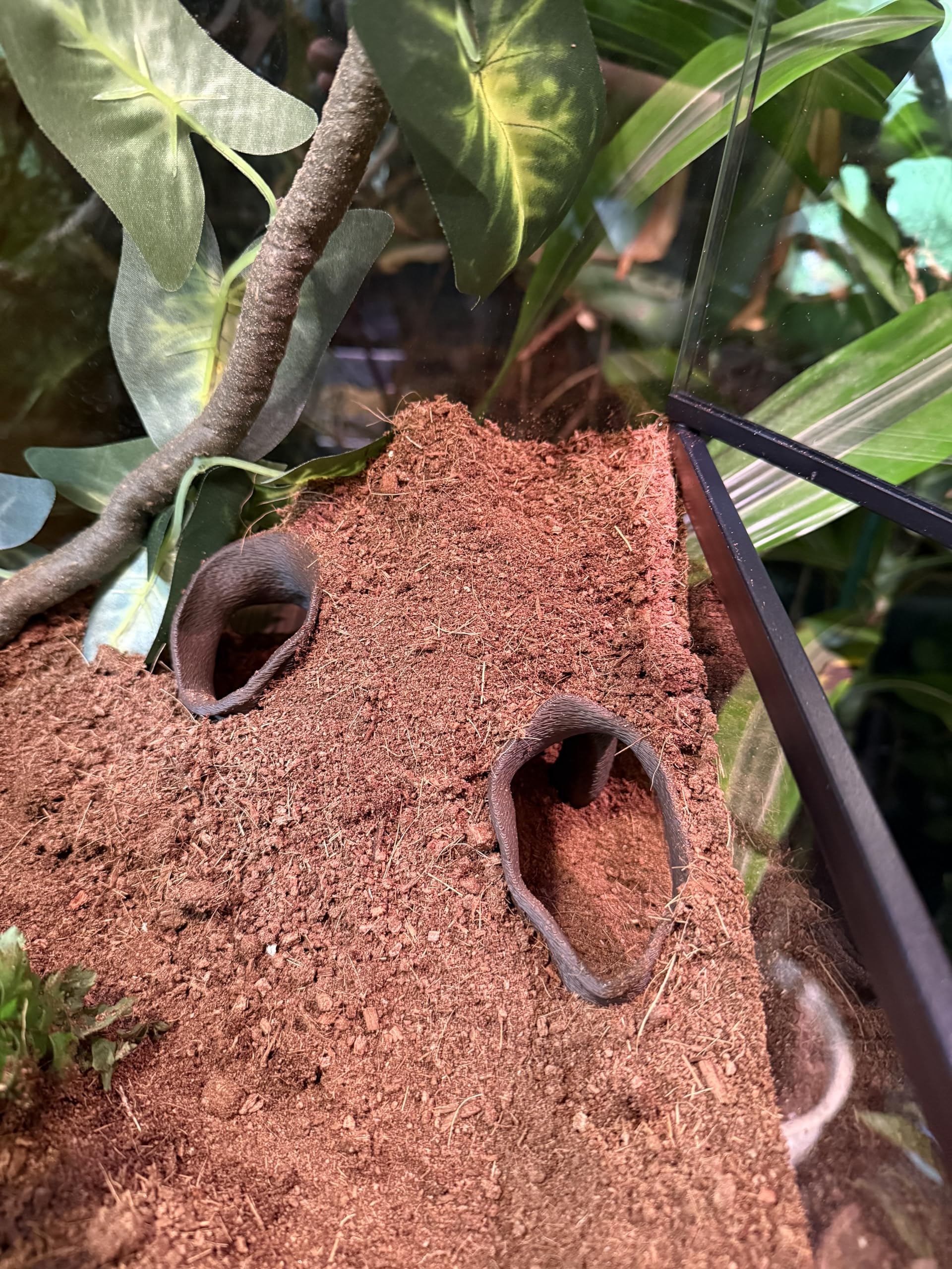 FROSTO terrarium hideout texture root in dark chocolate blends with decor.