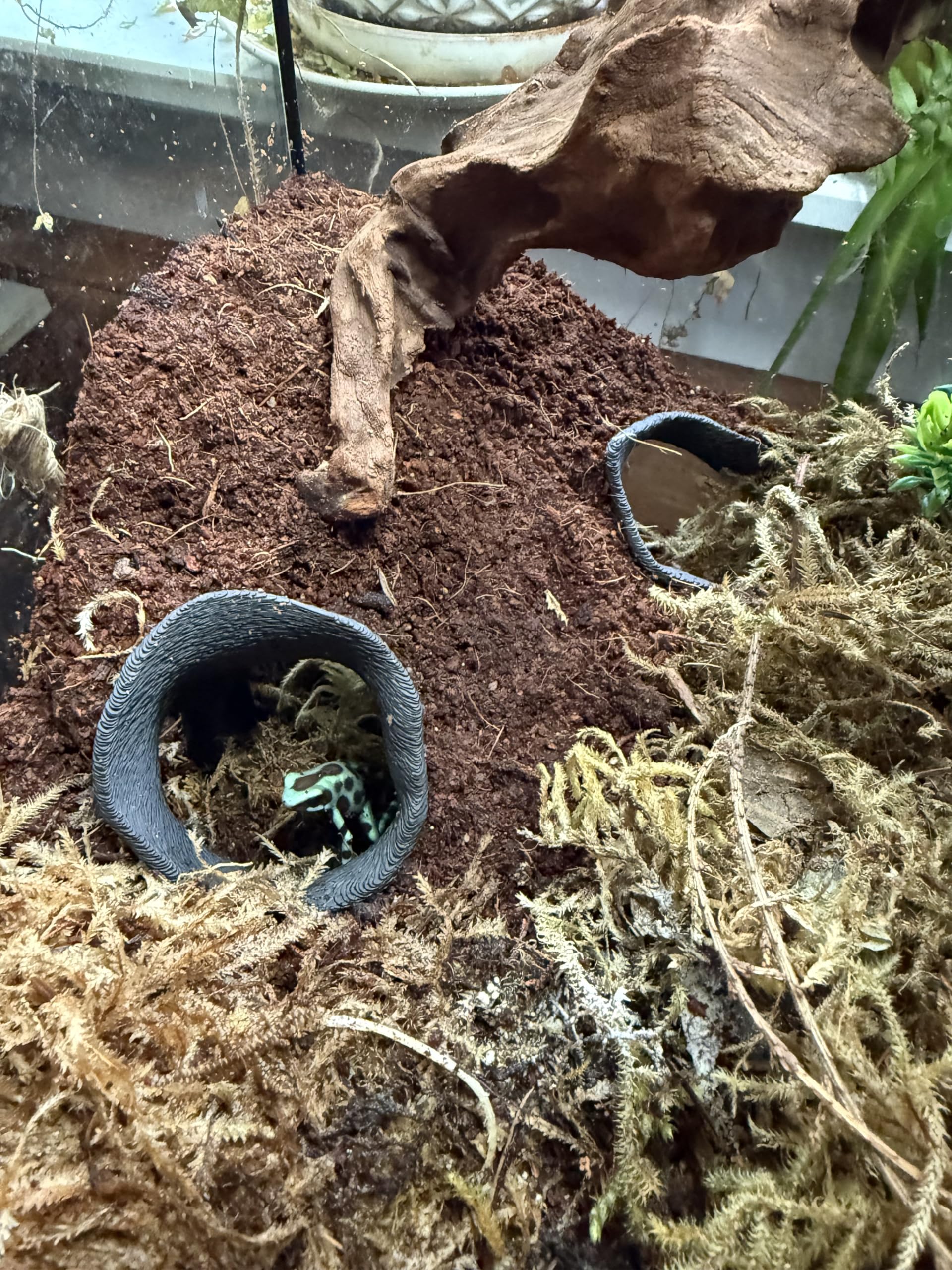 FROSTO small-pet hideout promotes exploration in tanks.
