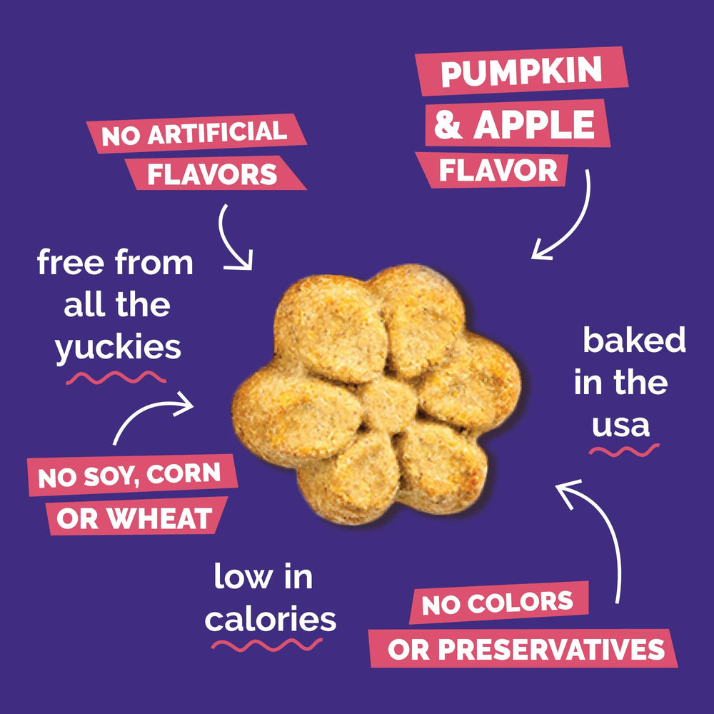 Fruitables Baked Crunchy Pumpkin Dog Treats Sweet Potato & Pecan flavor close-up, wholesome crunch