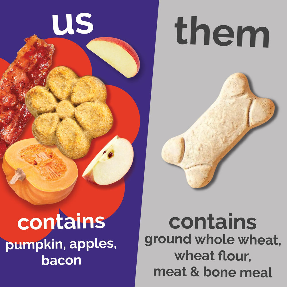Fruitables Pumpkin Dog Treats oven-baked crunch texture across the 7oz pouch.
