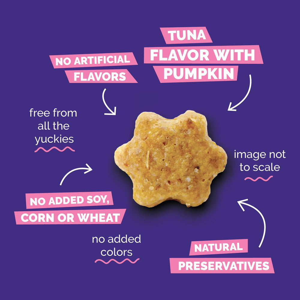 Fruitables pumpkin-nutrition, wholesome veggies support balanced snacking.
