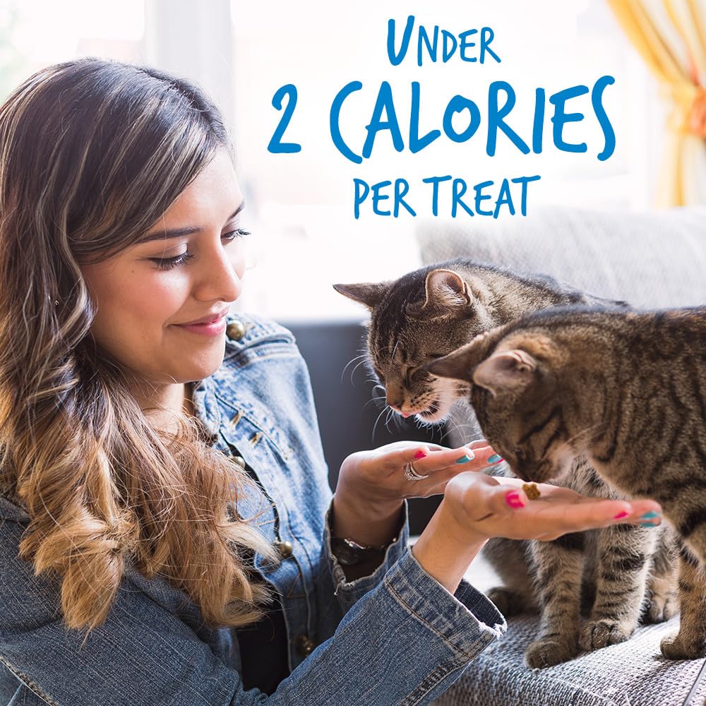 Blueberry inclusion adds natural flavor to Fruitables crunchy treats