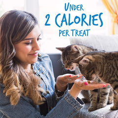 Blueberry inclusion adds natural flavor to Fruitables crunchy treats