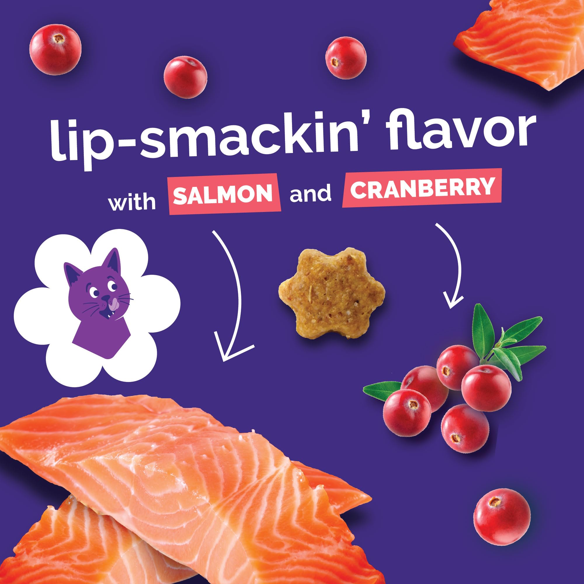 Indoor cats and multi-cat households benefit from Fruitables salmon-cranberry treats