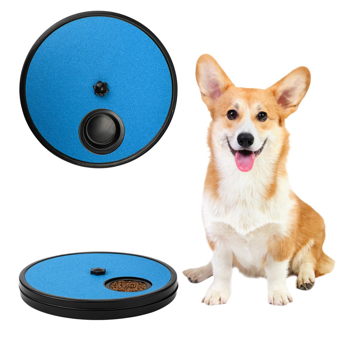 frymmx dog nail polish plate top view for gentle paw filing and care