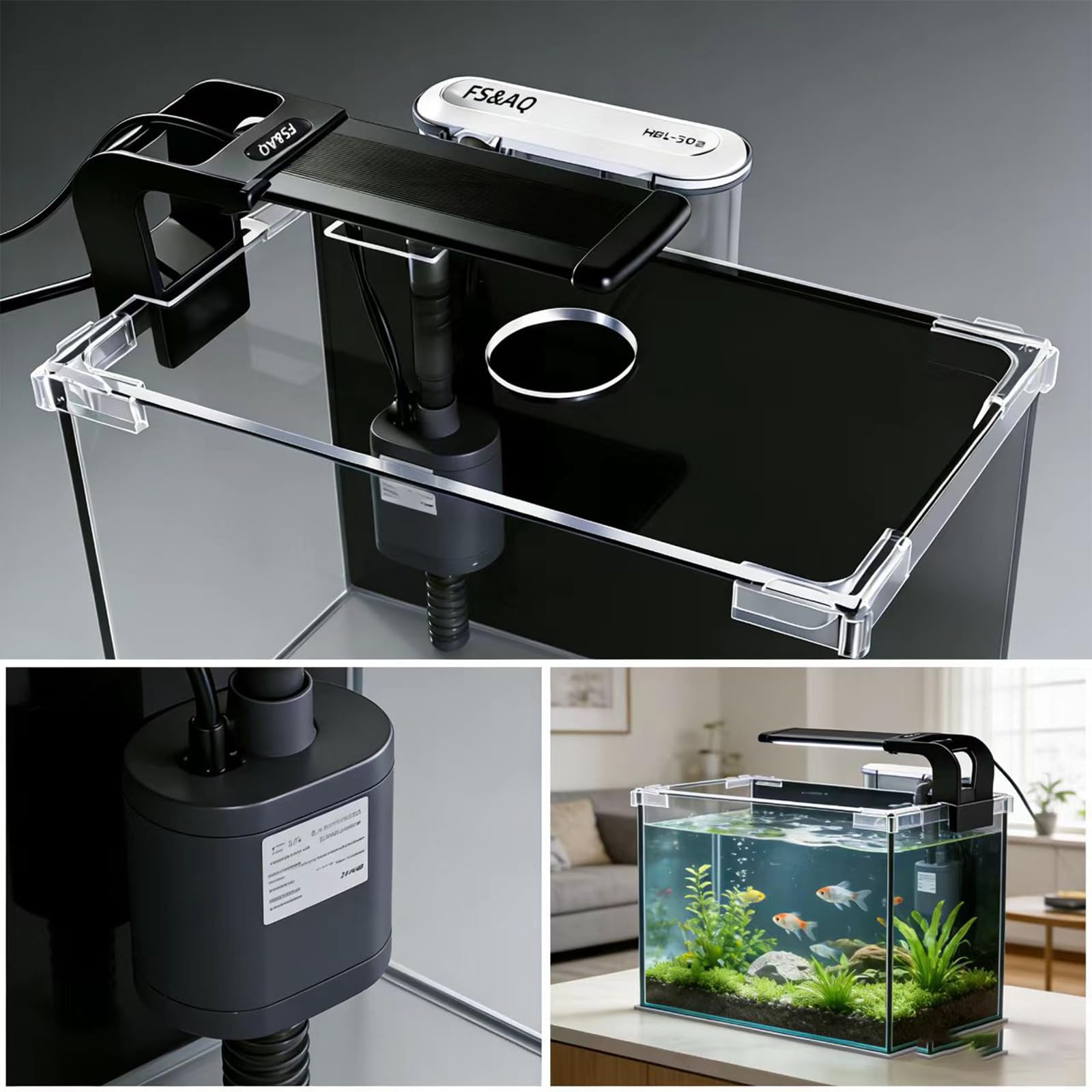 FS&AQ 2.5-gallon Betta Tank back panel hides filter for a clean look.