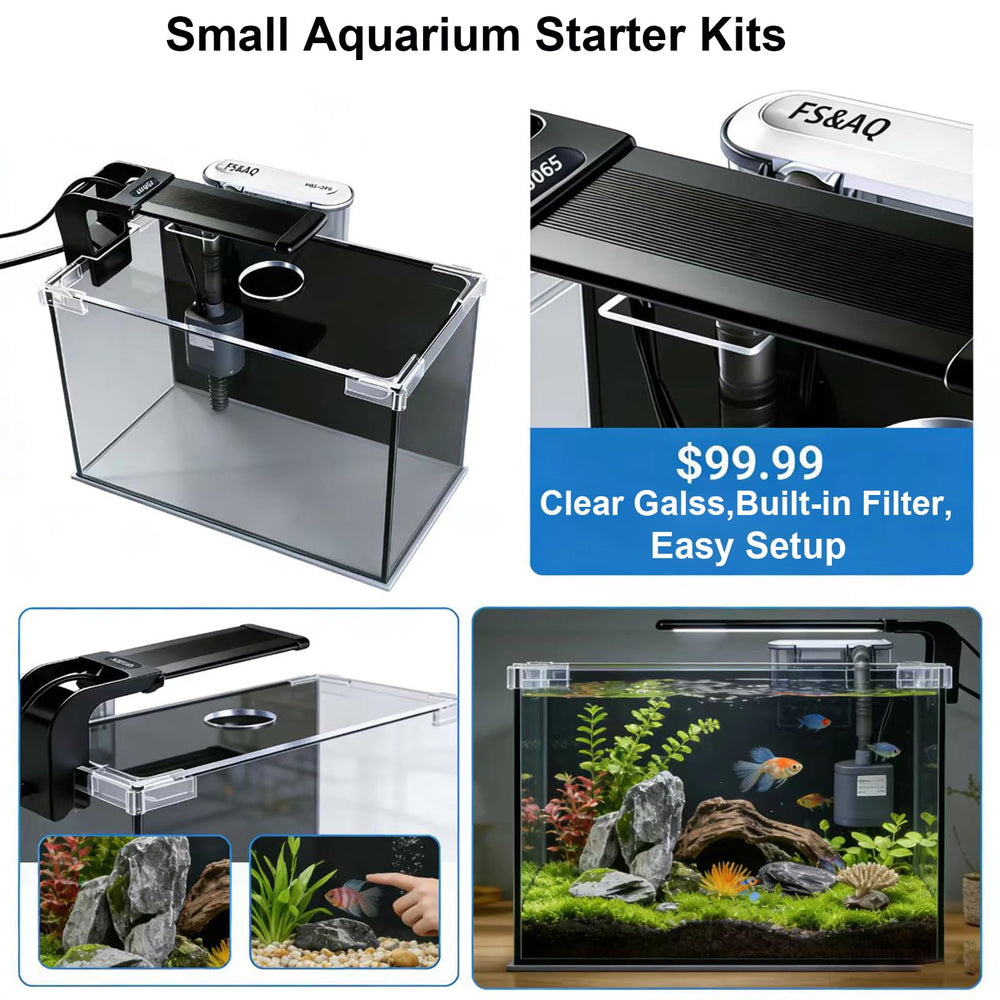 FS&AQ 2.5-gallon Betta Tank LED light highlights colors naturally.