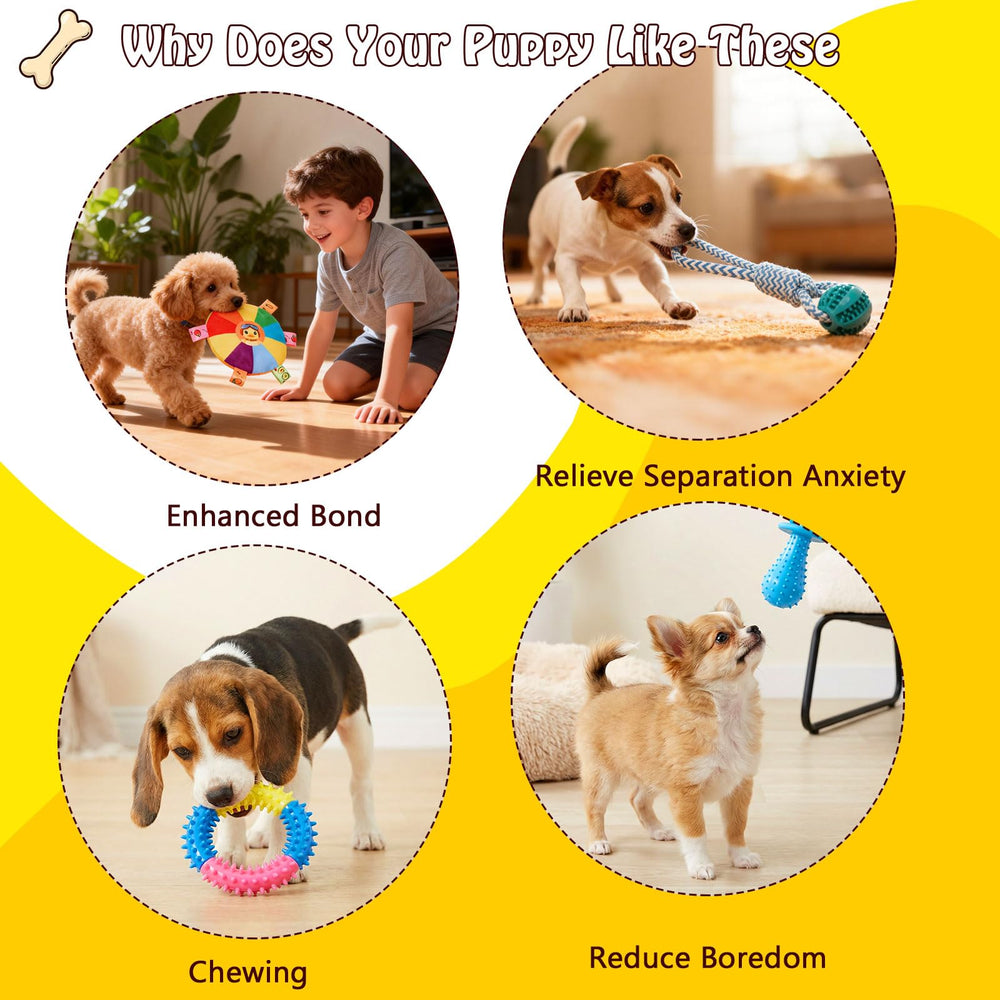 Fsawdnn Puppy Play Gym suction cups secure placement on smooth surfaces