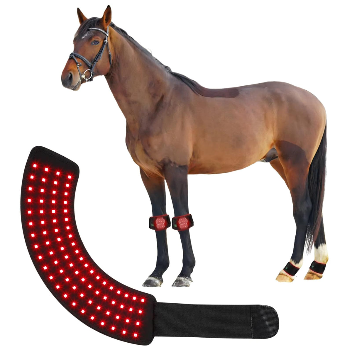FSDLJSP red light wrap on horse hoof, front view for targeted hoof support